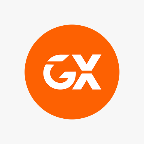 GX India Pvt Ltd